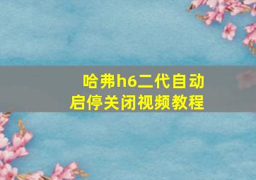 哈弗h6二代自动启停关闭视频教程