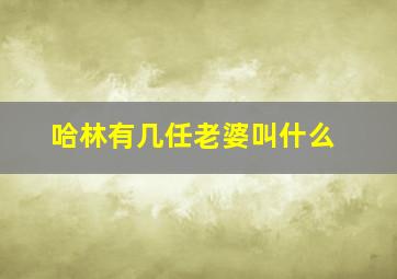 哈林有几任老婆叫什么