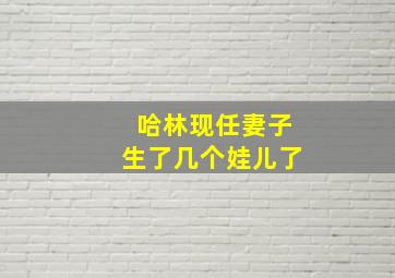 哈林现任妻子生了几个娃儿了