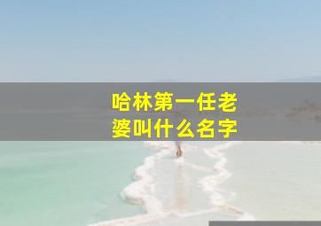 哈林第一任老婆叫什么名字