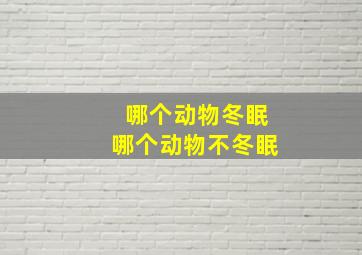 哪个动物冬眠哪个动物不冬眠