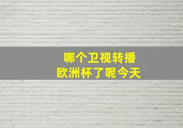 哪个卫视转播欧洲杯了呢今天