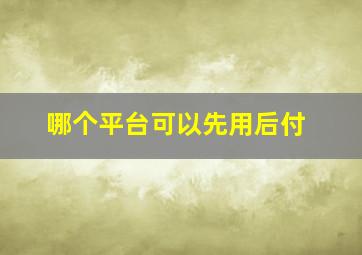 哪个平台可以先用后付