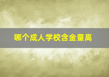 哪个成人学校含金量高