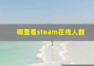 哪里看steam在线人数