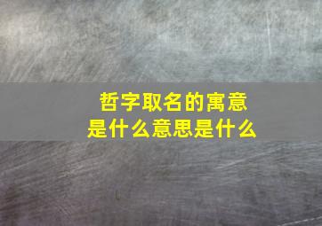 哲字取名的寓意是什么意思是什么