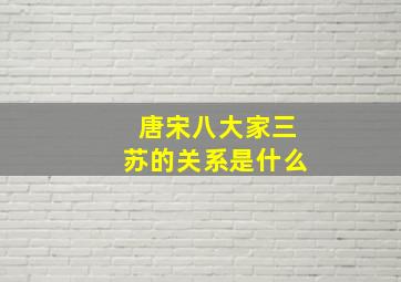 唐宋八大家三苏的关系是什么