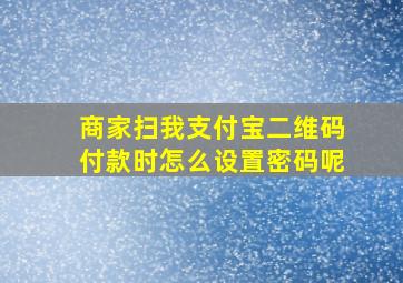 商家扫我支付宝二维码付款时怎么设置密码呢