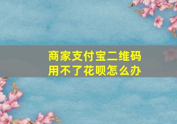 商家支付宝二维码用不了花呗怎么办