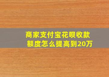 商家支付宝花呗收款额度怎么提高到20万