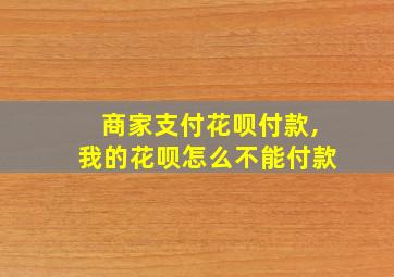 商家支付花呗付款,我的花呗怎么不能付款