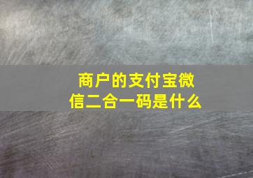 商户的支付宝微信二合一码是什么