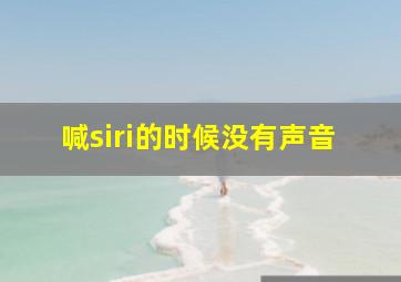 喊siri的时候没有声音