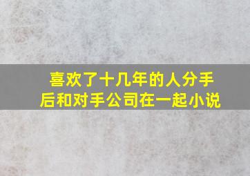 喜欢了十几年的人分手后和对手公司在一起小说