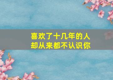 喜欢了十几年的人却从来都不认识你