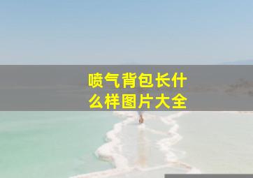 喷气背包长什么样图片大全