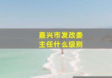 嘉兴市发改委主任什么级别