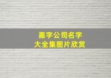 嘉字公司名字大全集图片欣赏