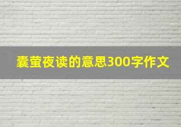 囊萤夜读的意思300字作文