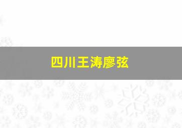 四川王涛廖弦