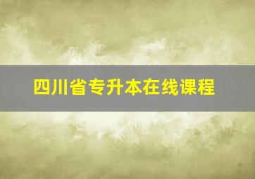 四川省专升本在线课程