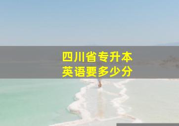 四川省专升本英语要多少分