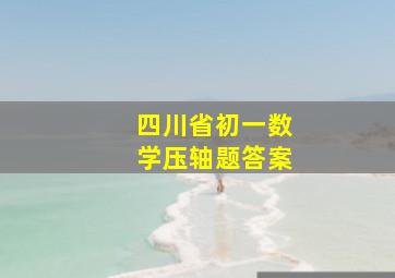 四川省初一数学压轴题答案