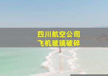 四川航空公司飞机玻璃破碎