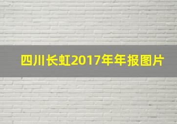 四川长虹2017年年报图片