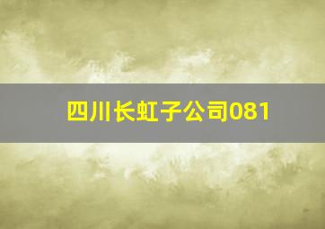 四川长虹子公司081