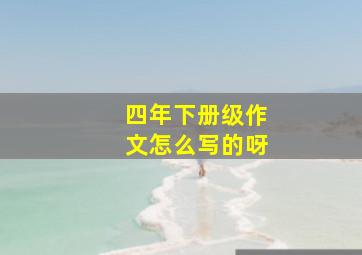 四年下册级作文怎么写的呀