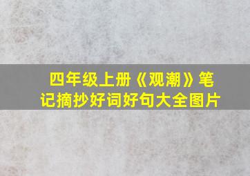 四年级上册《观潮》笔记摘抄好词好句大全图片