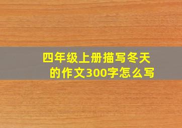 四年级上册描写冬天的作文300字怎么写