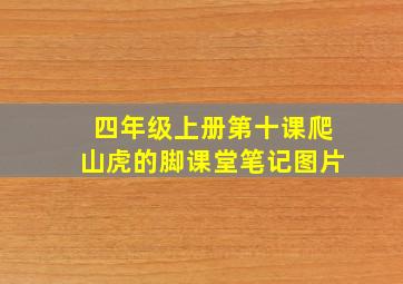 四年级上册第十课爬山虎的脚课堂笔记图片