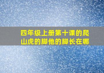 四年级上册第十课的爬山虎的脚他的脚长在哪