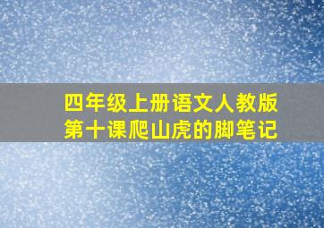 四年级上册语文人教版第十课爬山虎的脚笔记