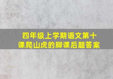 四年级上学期语文第十课爬山虎的脚课后题答案