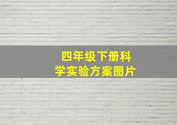 四年级下册科学实验方案图片