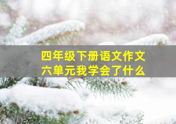 四年级下册语文作文六单元我学会了什么