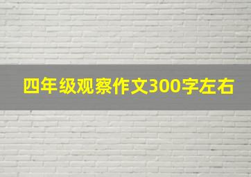 四年级观察作文300字左右