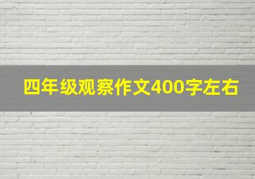 四年级观察作文400字左右