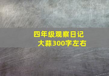 四年级观察日记大蒜300字左右