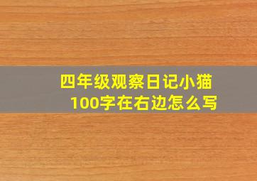 四年级观察日记小猫100字在右边怎么写