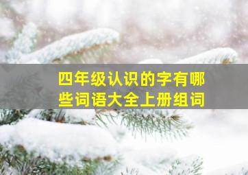 四年级认识的字有哪些词语大全上册组词