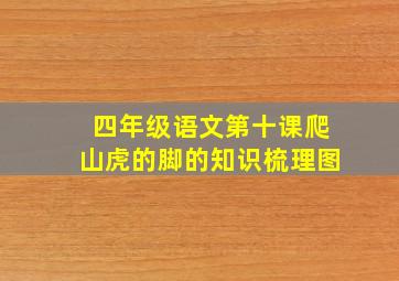 四年级语文第十课爬山虎的脚的知识梳理图