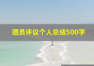 团员评议个人总结500字