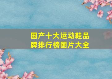 国产十大运动鞋品牌排行榜图片大全