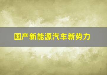 国产新能源汽车新势力