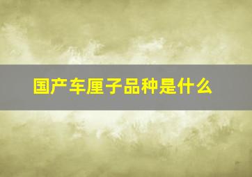 国产车厘子品种是什么