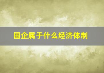 国企属于什么经济体制